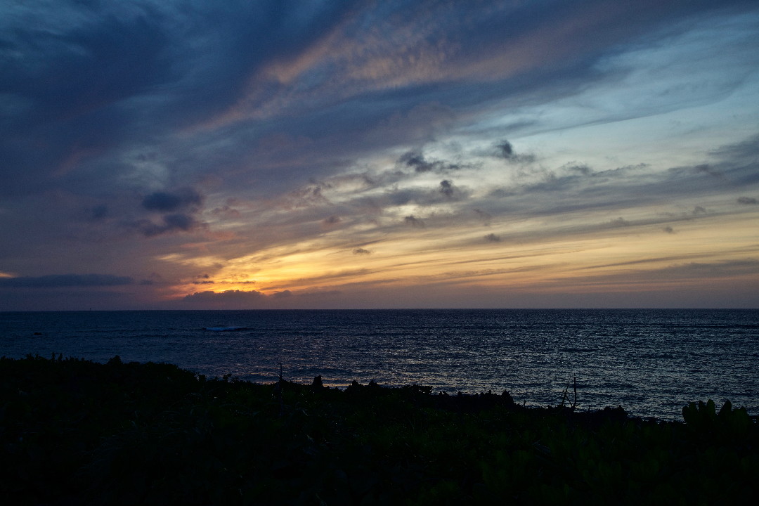 e0071967_16131743.jpg
