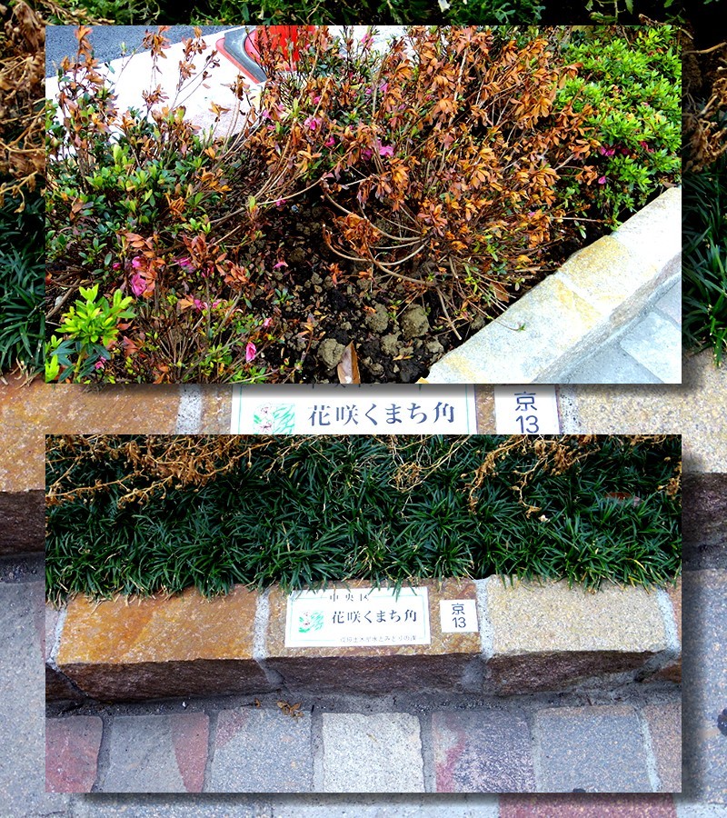 f0214467_09494218.jpg