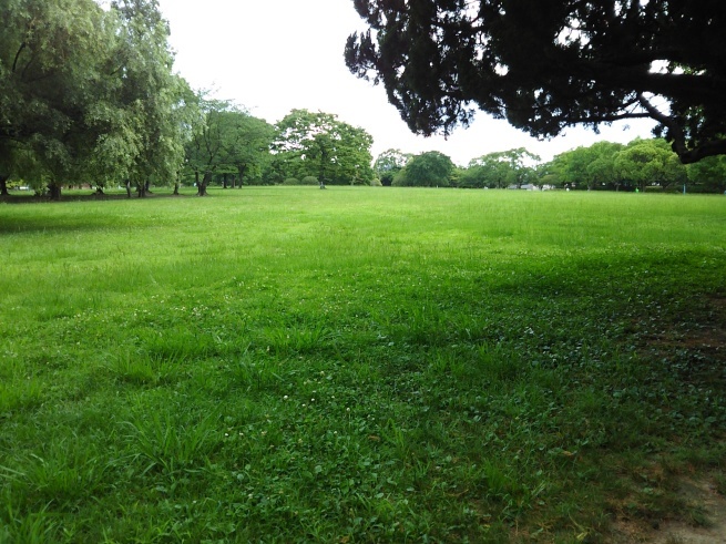 e0350068_17122396.jpg