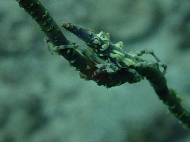 c0039073_20372694.jpg