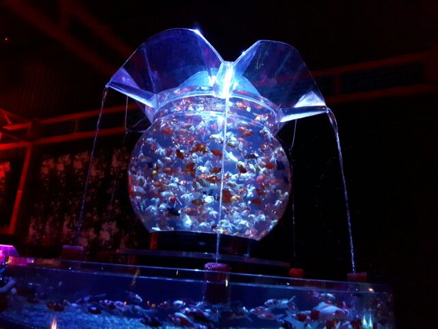 d0062076_1603673.jpg