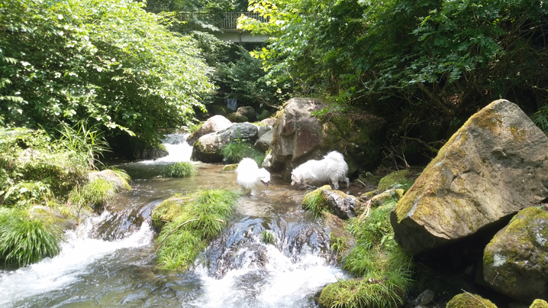 c0064678_13374190.jpg