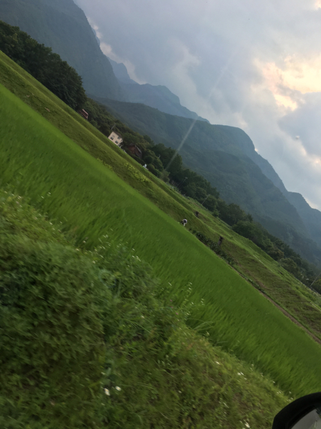 d0142182_12092305.jpg