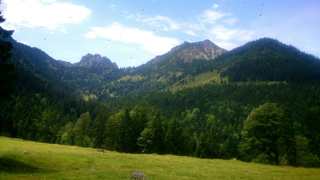 b0169887_05125064.jpg