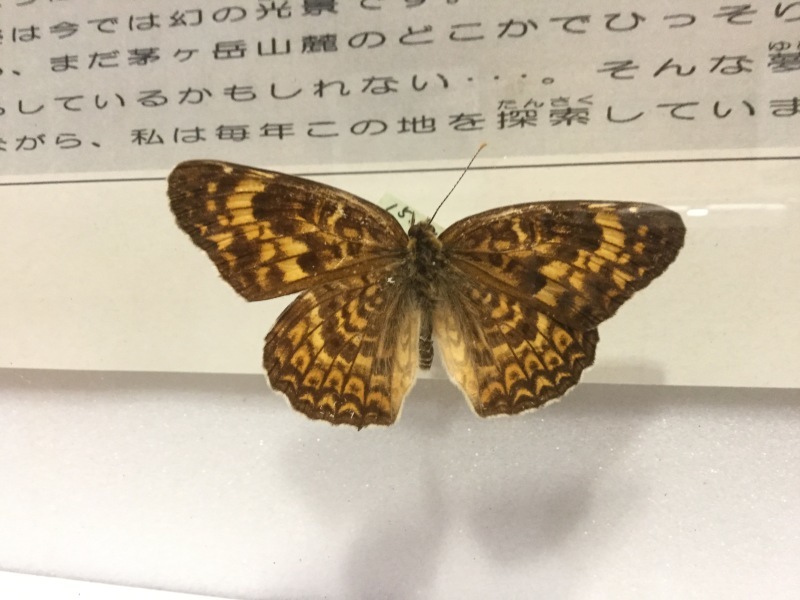 d0356192_01135353.jpg