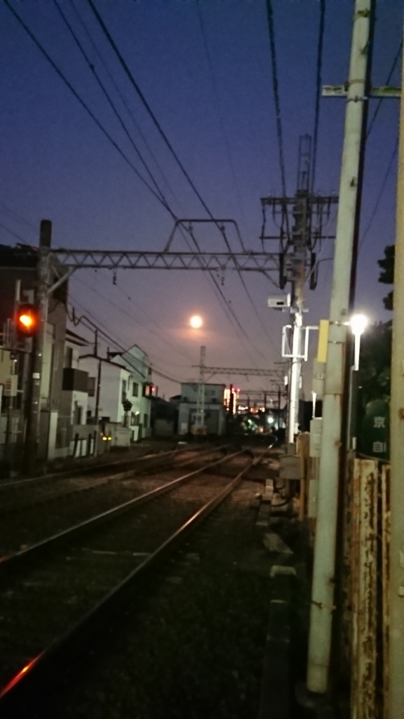 a0265497_08232870.jpg
