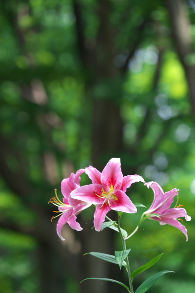 f0233999_00095143.jpg
