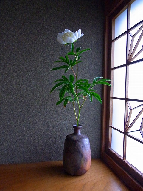 f0157901_11155743.jpg