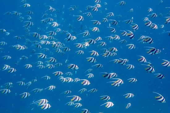 e0338303_17232693.jpg