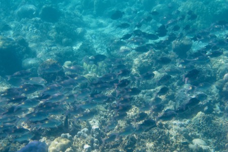 e0338303_1723631.jpg