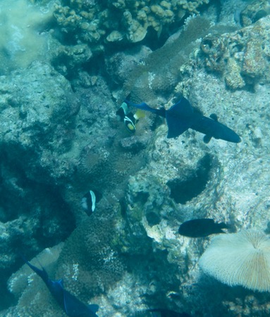 e0338303_17242024.jpg