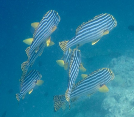 e0338303_17255843.jpg