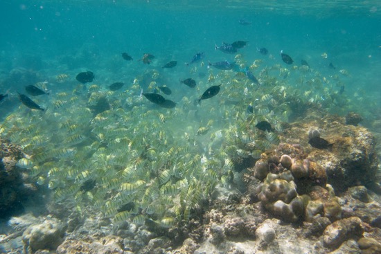 e0338303_17292514.jpg