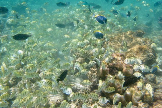 e0338303_17293122.jpg
