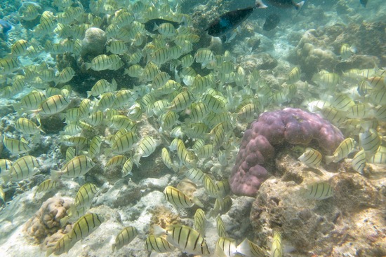 e0338303_17294889.jpg