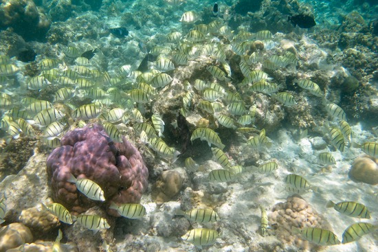 e0338303_17301078.jpg