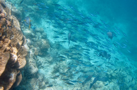 e0338303_17315116.jpg