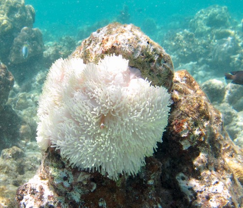 e0338303_215208.jpg