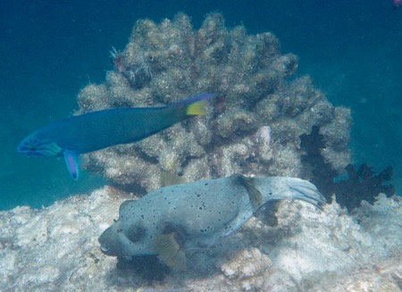 e0338303_2161385.jpg