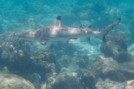 e0338303_2161732.jpg