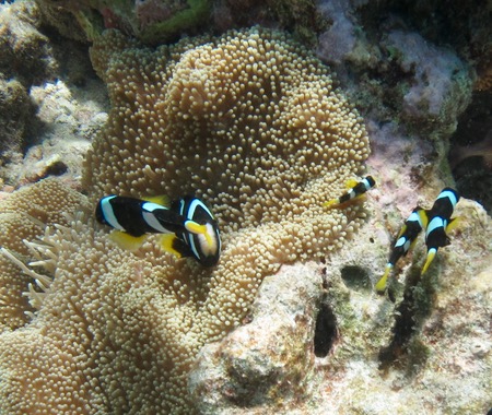 e0338303_216459.jpg
