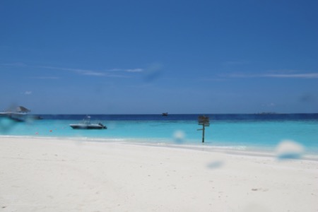 e0338303_2174732.jpg