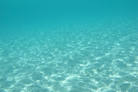 e0338303_2175882.jpg
