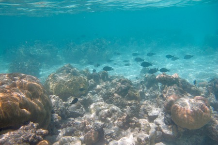 e0338303_218266.jpg