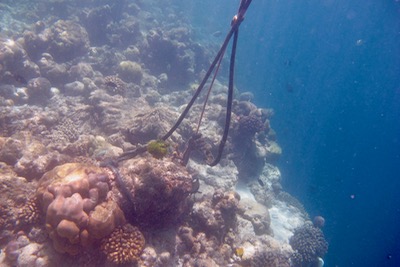 e0338303_2185726.jpg