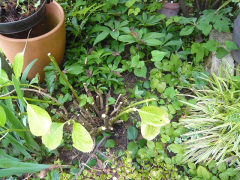 c0112206_17151365.jpg