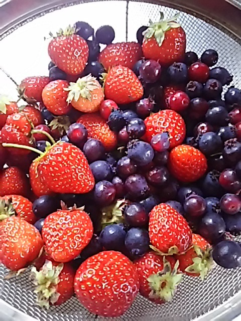 f0316507_12500367.jpg