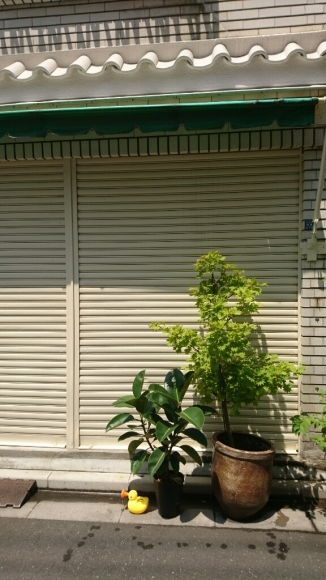 a0228408_09191579.jpg