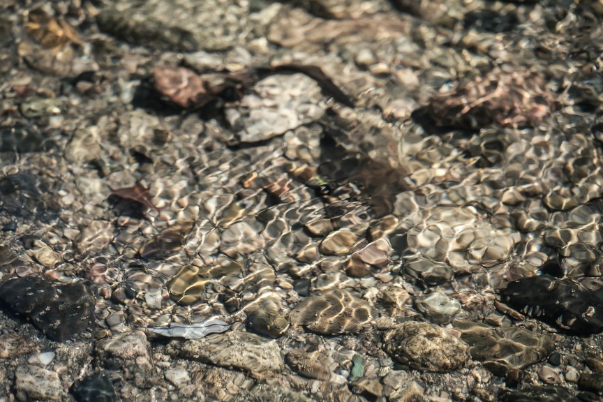 b0128609_16171269.jpg