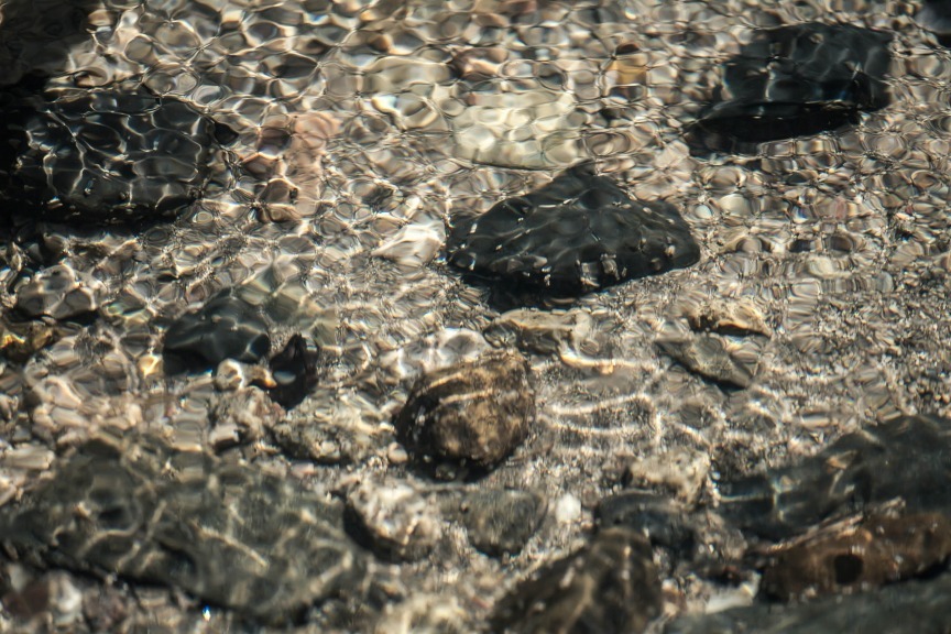 b0128609_16171348.jpg