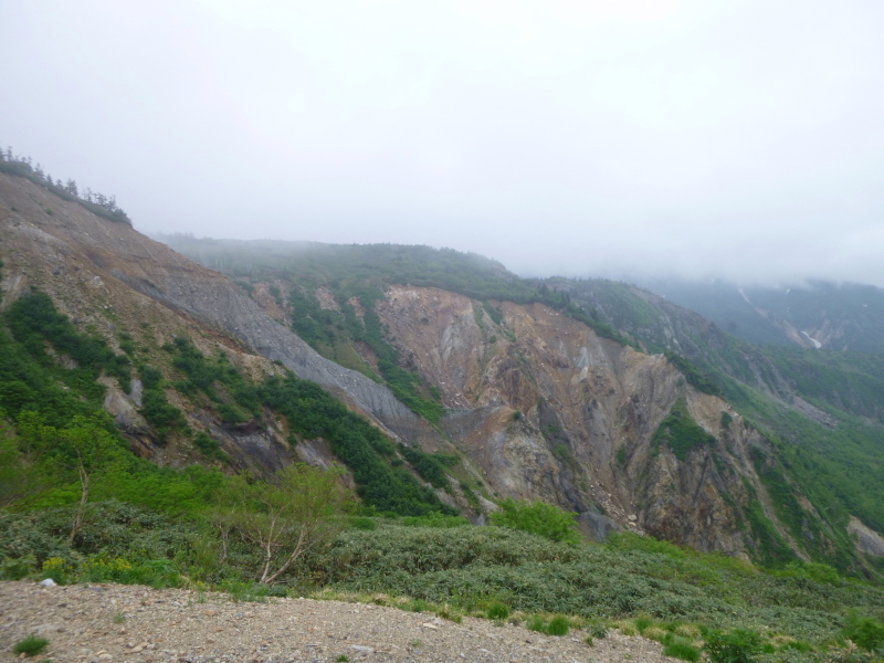 d0170615_20582939.jpg