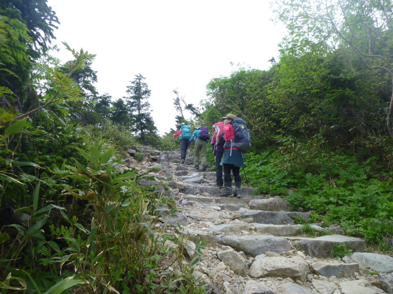 d0170615_20585226.jpg
