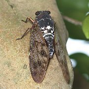 a0239418_18465017.jpg