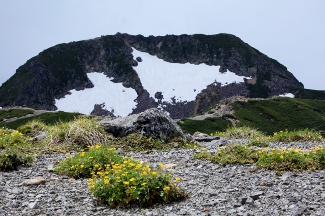 e0242721_08152656.jpg