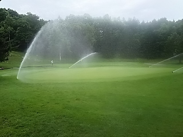 f0227321_10351219.jpg