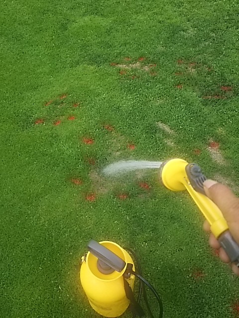 f0227321_10370168.jpg