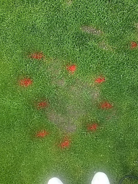 f0227321_10374534.jpg