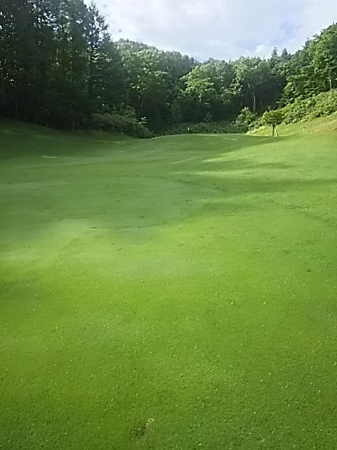 f0227321_10404572.jpg