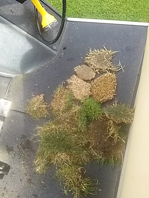f0227321_10405844.jpg