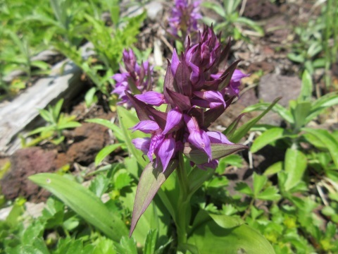 f0149422_21094201.jpg