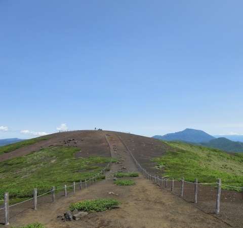 f0149422_21171403.jpg