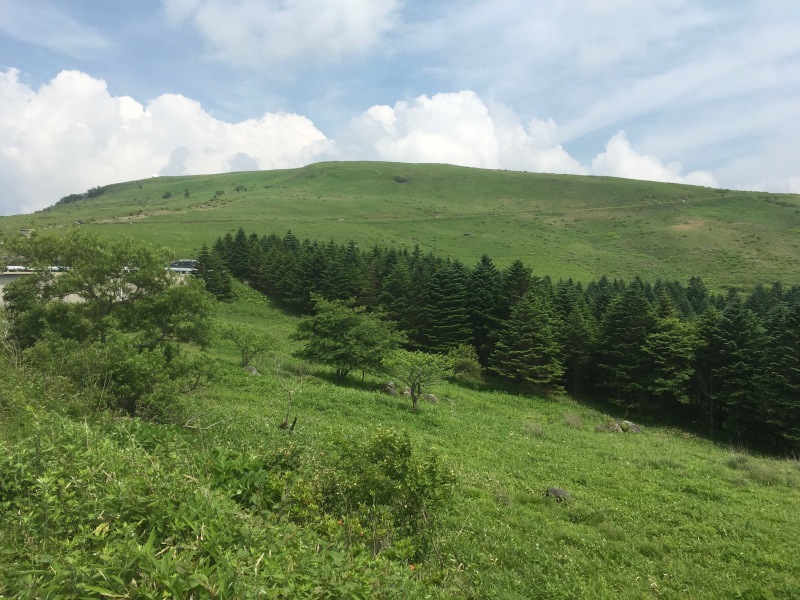 c0087023_22145753.jpg
