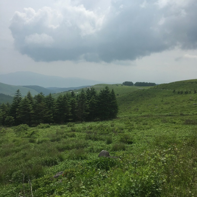 c0087023_22152650.jpg