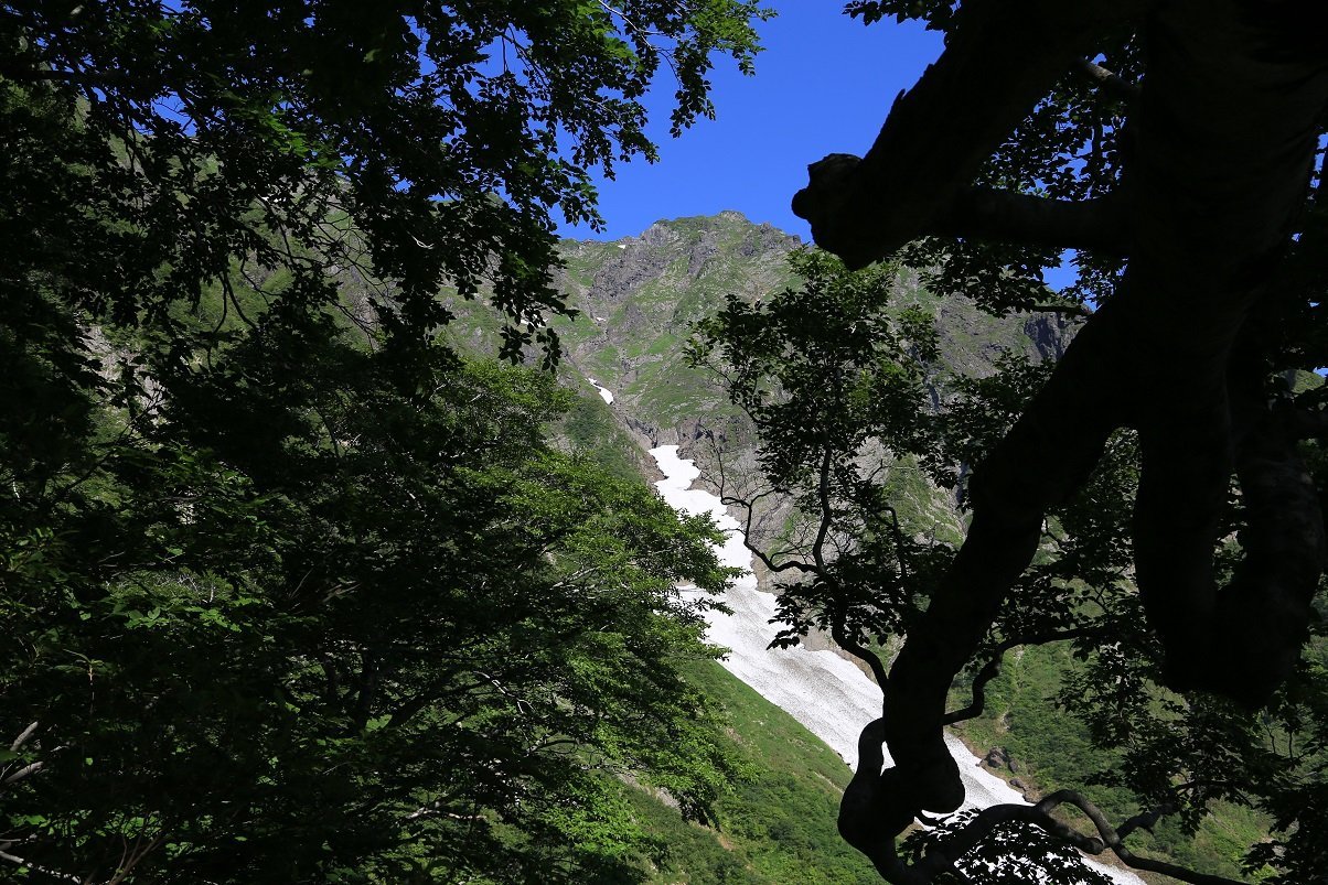 b0062024_22231666.jpg