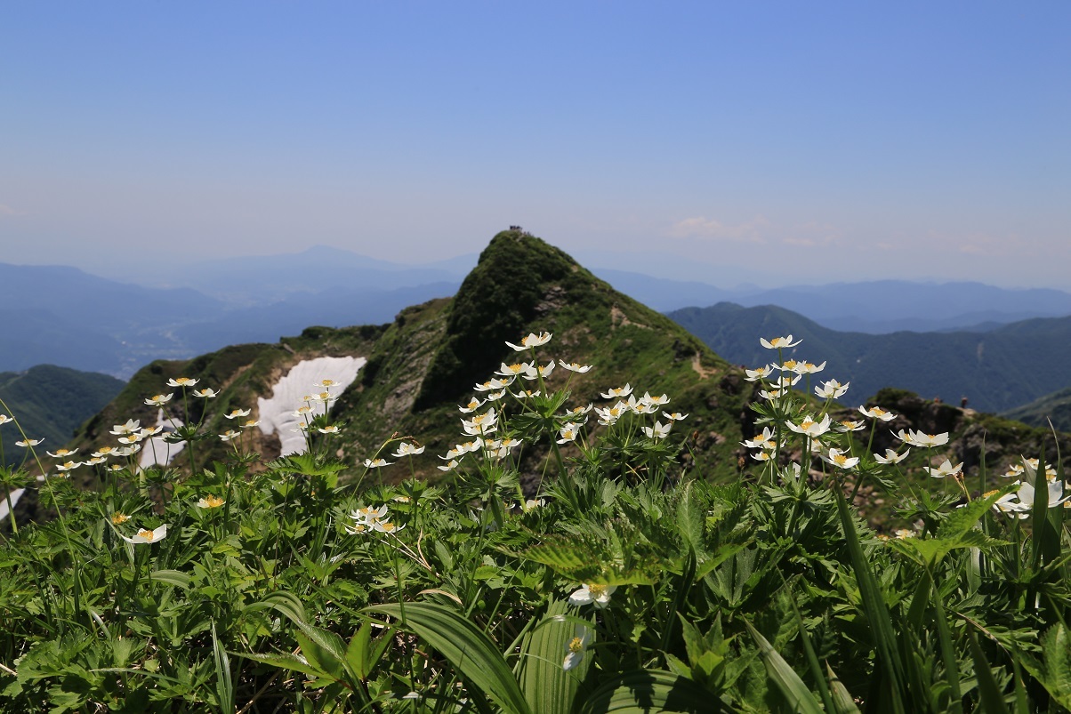 b0062024_22312160.jpg