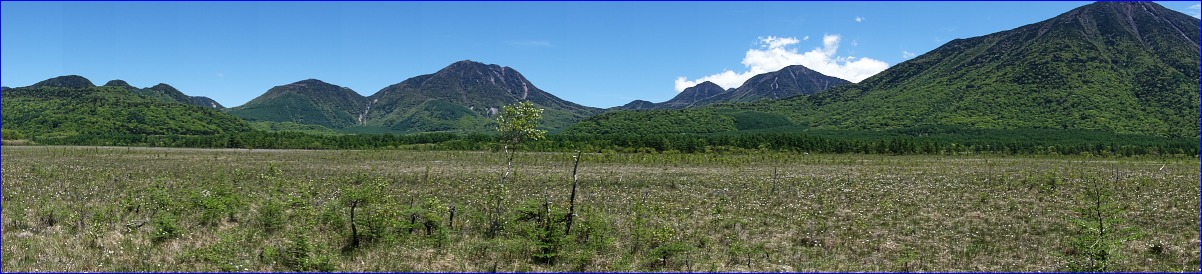 d0137627_2381520.jpg